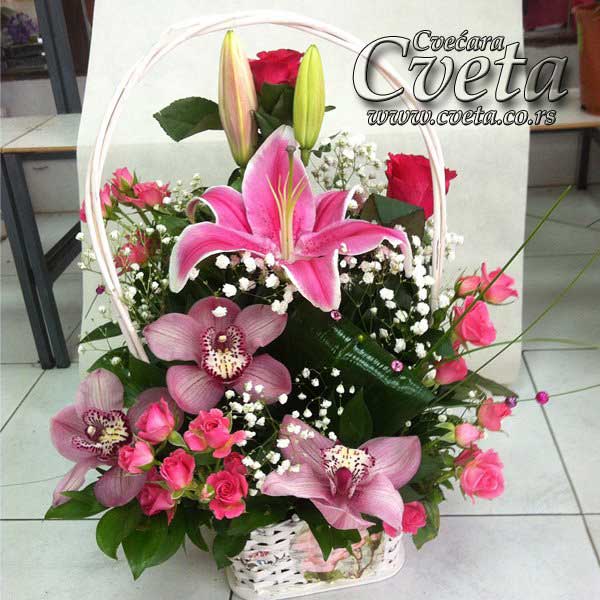 free dating websites south africa